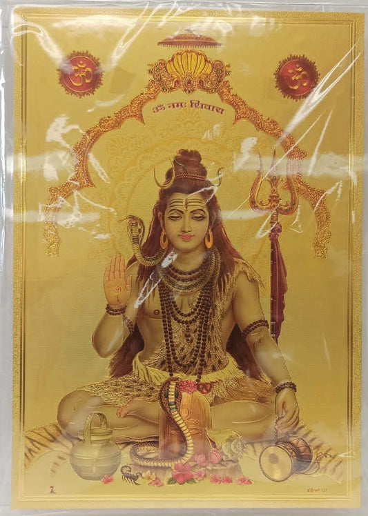 Acrylic Frame on Golden Foil Paper of Shivji # 1 - 9 x 12"