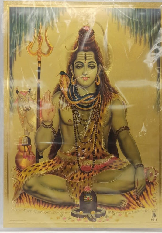 Acrylic Frame on Golden Foil Paper of Shivji # 2 - 9 x 12"