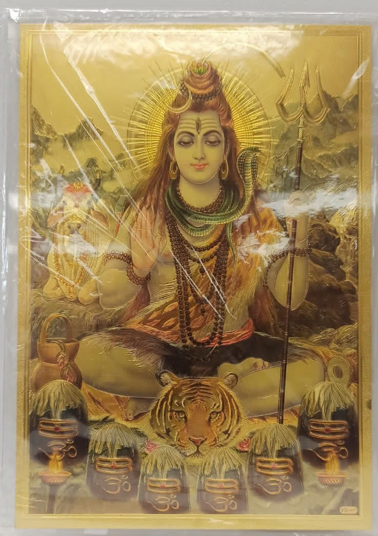 Acrylic Frame on Golden Foil Paper of Shivji # 3 - 9 x 12"