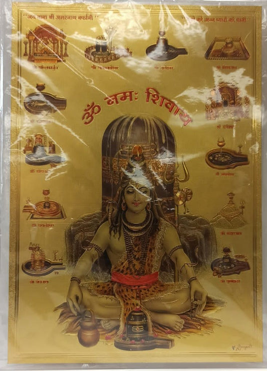 Acrylic Frame on Golden Foil Paper of Shivji # 4 - 9 x 12"