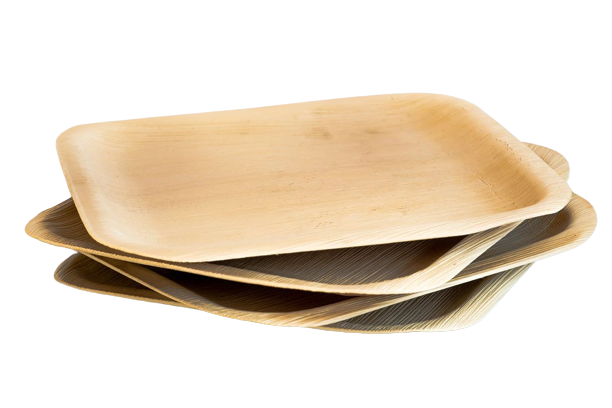 Eco-Friendly Disposable Square Plates - 9 x 9" (Pack of 25 Pcs)