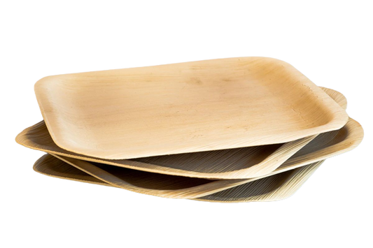 Eco-Friendly Disposable Square Plates - 9 x 9" (Pack of 25 Pcs)