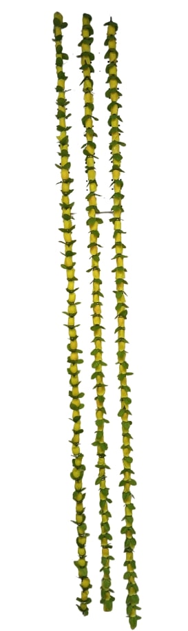 5 pc - 6ft Indian Garlands - Add Elegance to Your Celebrations (Design #15)