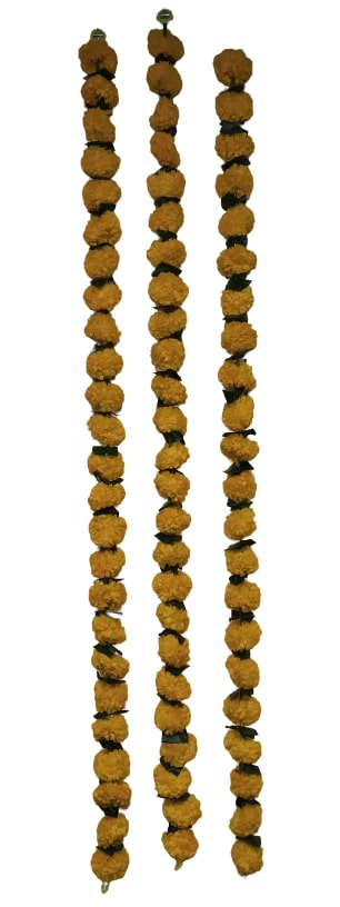 5pc - 5ft Indian Garlands - Add Elegance to Your Celebrations (Design #21)