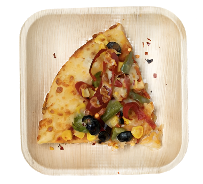 Eco-Friendly Disposable Square Plates - 2 Sizes (6 & 10") (Pack of 25 Pcs)