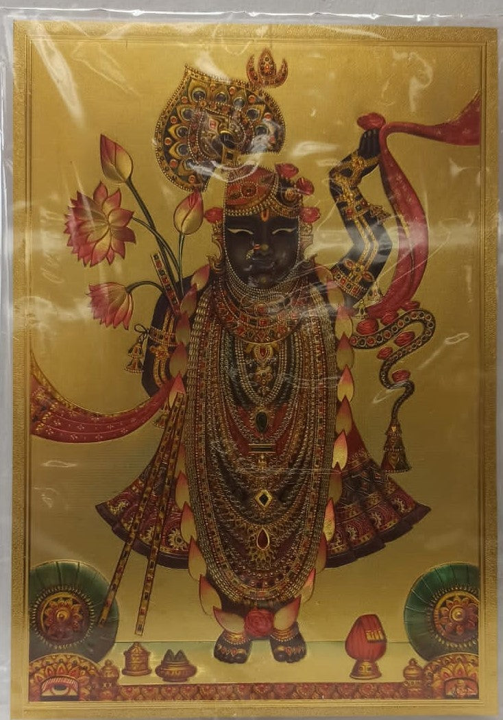 Acrylic Frame on Golden Foil Paper of Shreenathji # 1 - 9 x 12"